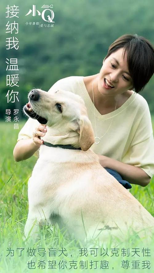 卡米尔蒙特护理学院 Sociological degree